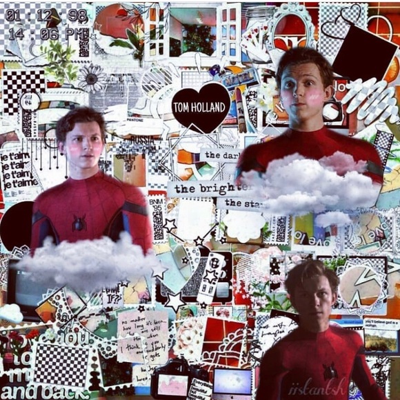 Meet your Posher, Layla - Picture 1 of 1